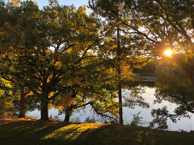 2BF77A95-B0BC-43FC-BA41-FAFF40DC2276